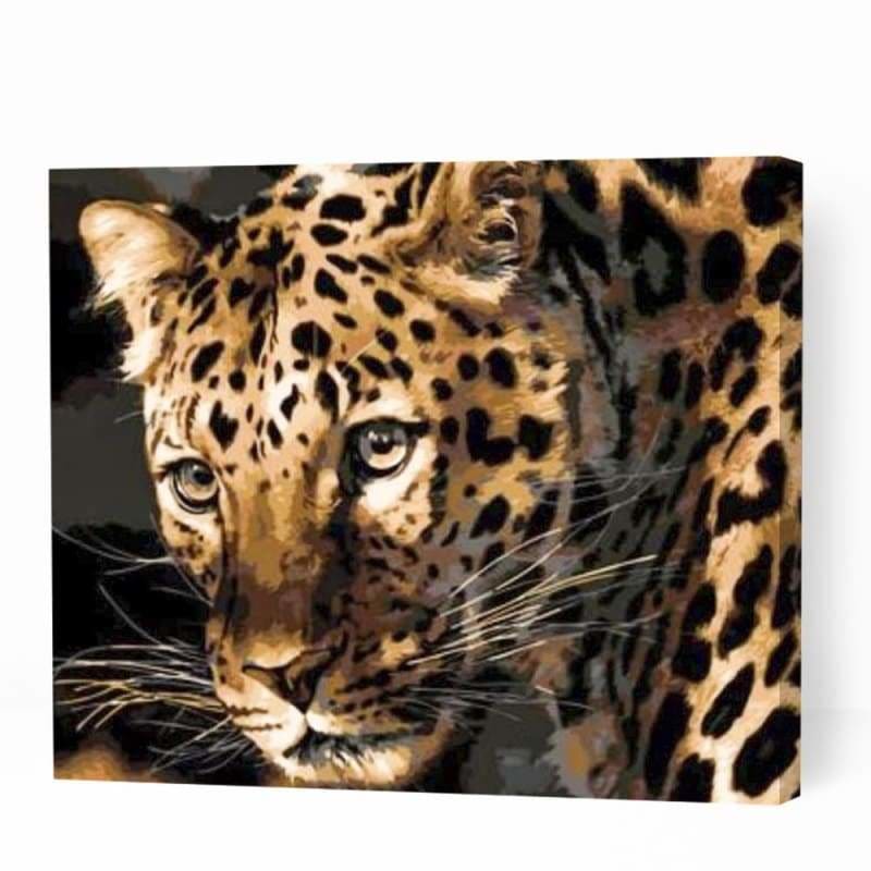 Gazing Wild Leopard - Paint By Numbers Cities