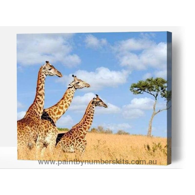 giraffes in the savanna - Paint By Numbers Cities