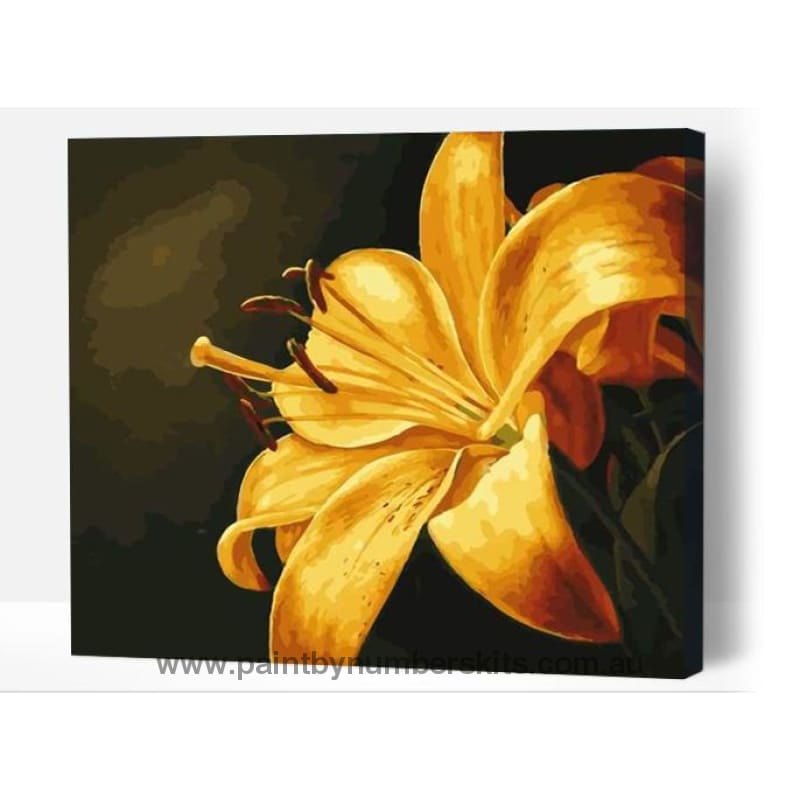 Golden lily - Paint By Numbers Cities