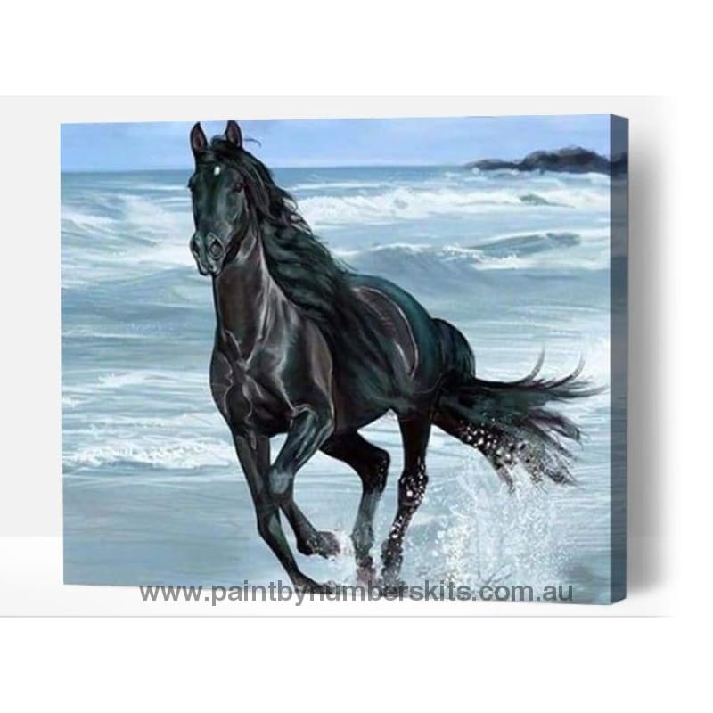 Gorgeous Black Stallion - Paint By Numbers Cities
