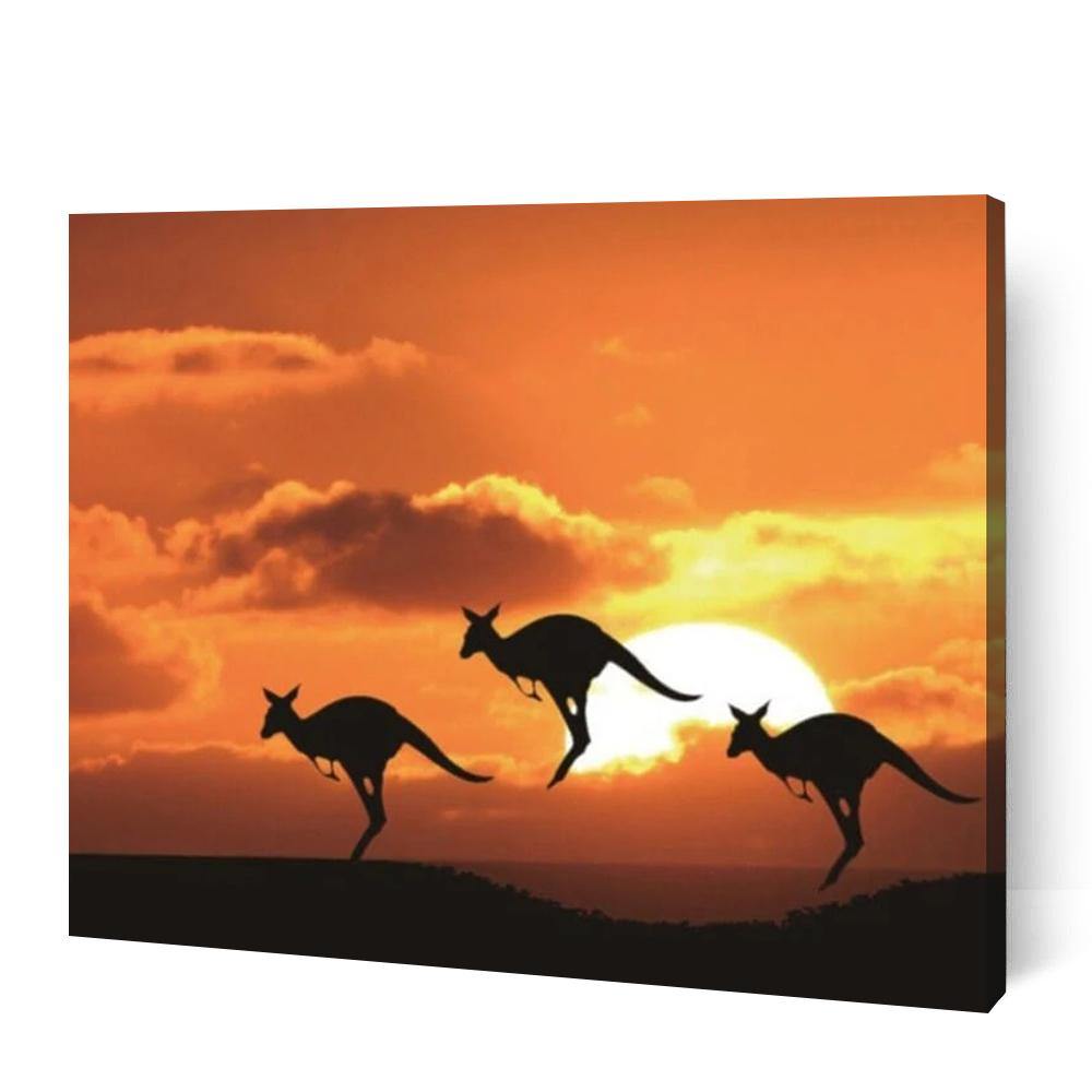 Silhouette Kangaroos - Paint By Numbers Cities