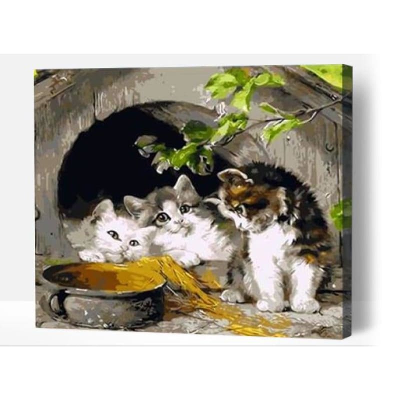 Order Kittens home Paint by Numbers Kits | Australia