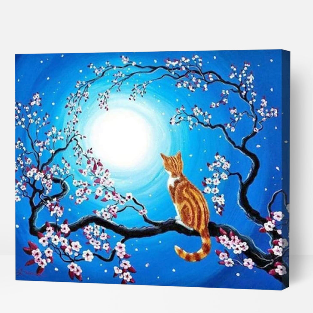 Order Mesmerised Cat Paint by Numbers Kits Australia