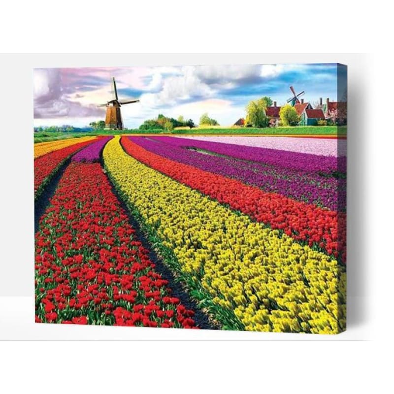 Multi-colour flower field - Paint By Numbers Cities