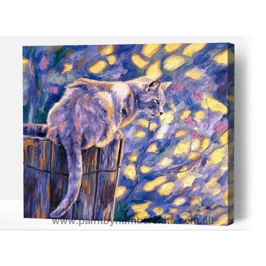 Night Cat - Paint By Numbers Cities