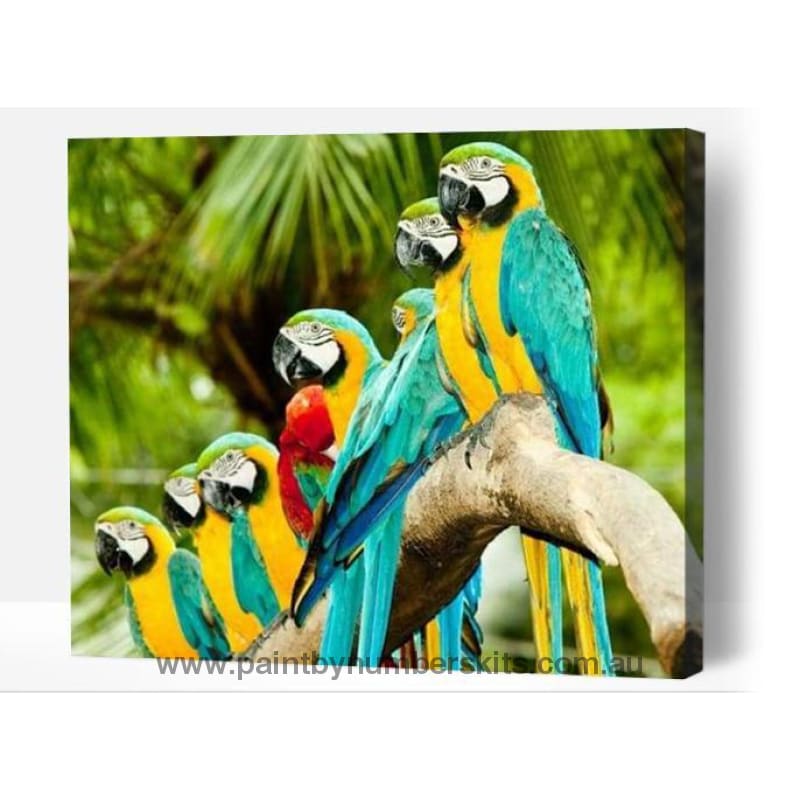 Parrot family - Paint By Numbers Cities
