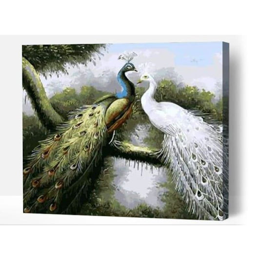 Peacock couple - Paint By Numbers Cities