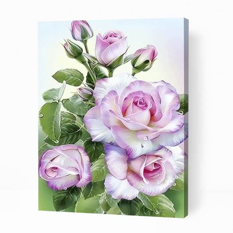 Order Pink Rose Plant Paint by Numbers Kits | Australia