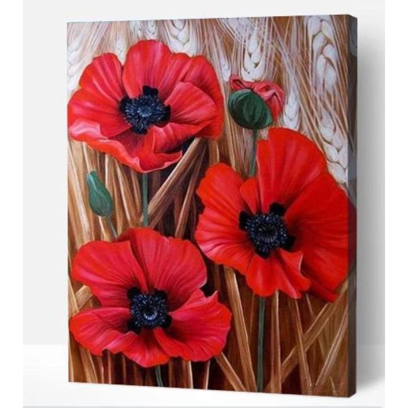 Poppies - Paint By Numbers Cities