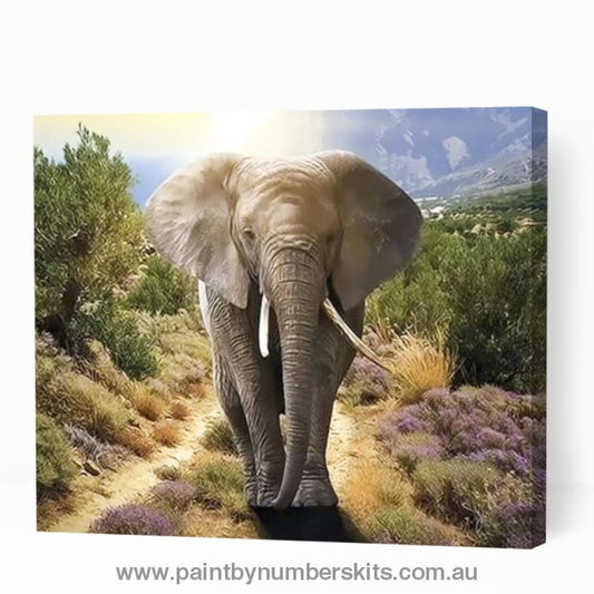 Elephant Walking in Forest - Paint By Numbers Cities