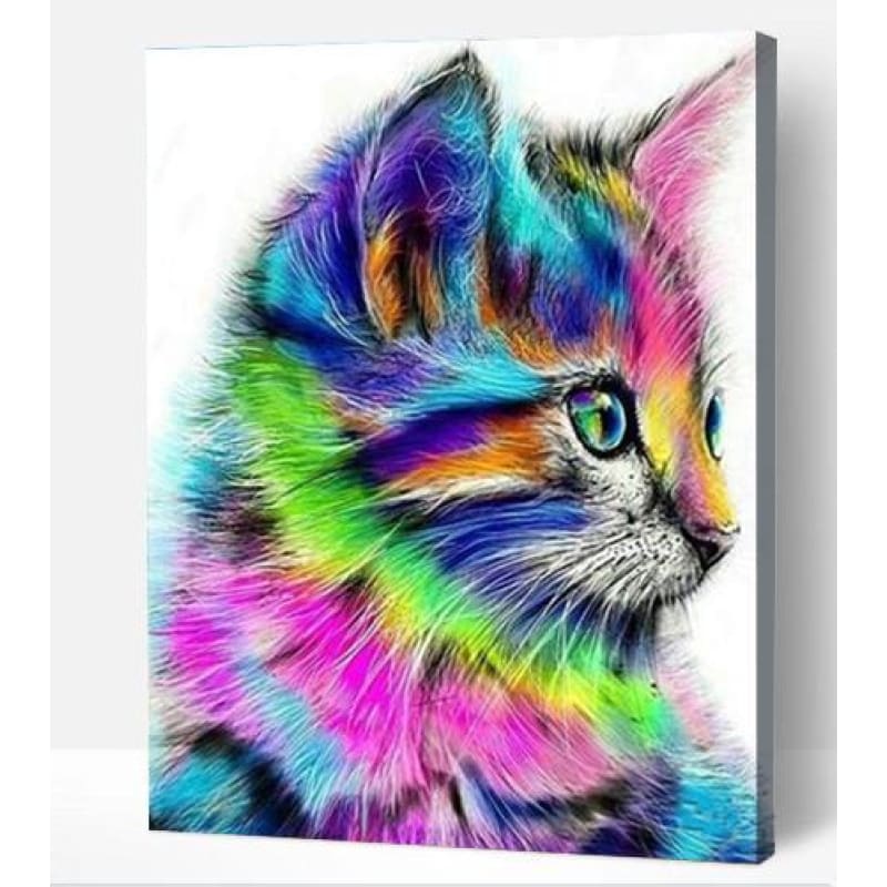 Rainbow Cat - Paint By Numbers Cities
