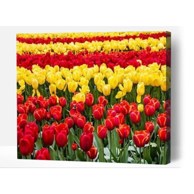 Red and yellow flowers - Paint By Numbers Cities