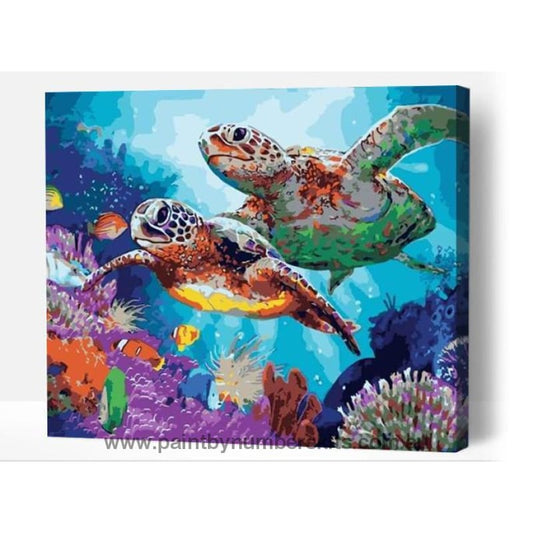 Reef Turtles - Paint By Numbers Cities