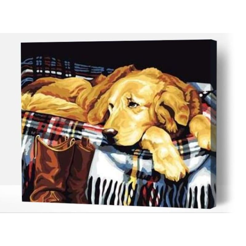 Sleepy Golden Retriever - Paint By Numbers Cities