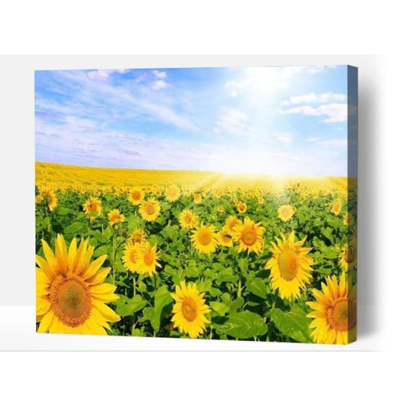 Sunflower Field - Paint By Numbers Cities