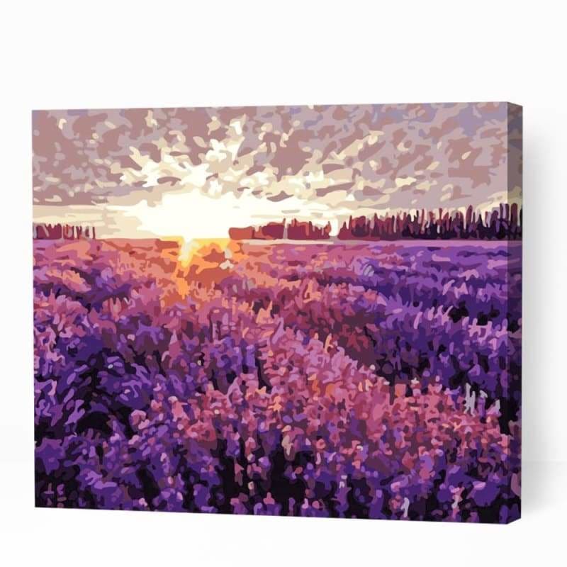 Sunset over the Lavender Field - Paint By Numbers Cities