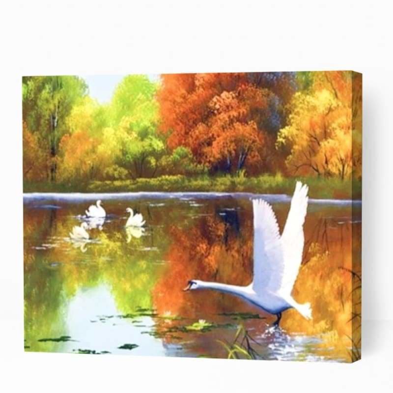 Swan Family in Lake - Paint By Numbers Cities