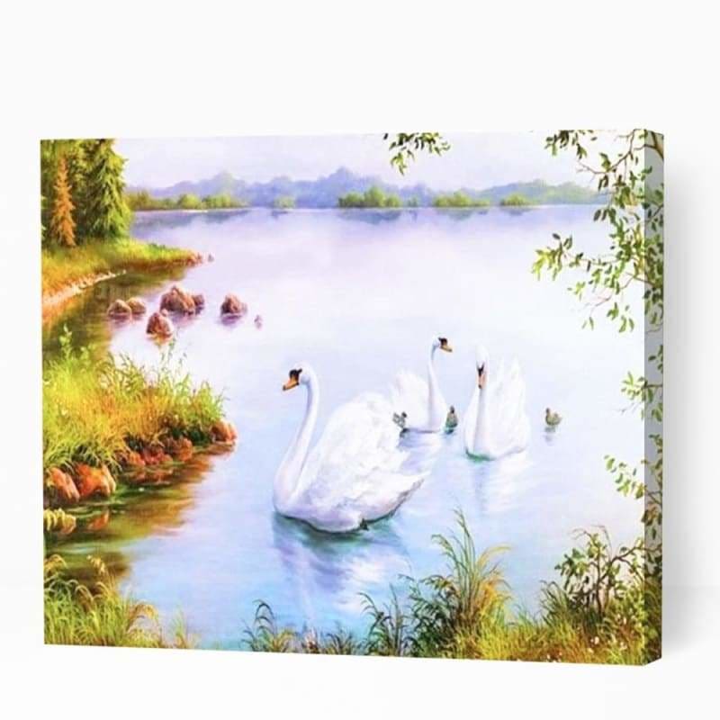 Swans in Lake - Paint By Numbers Cities