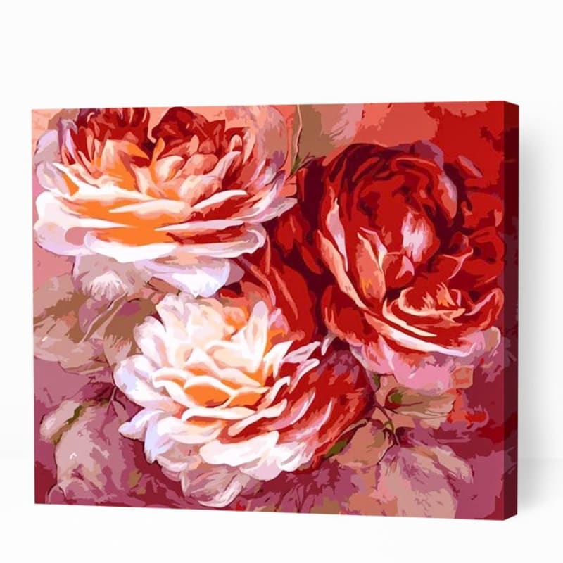Three Roses Burgundy - Paint By Numbers Cities