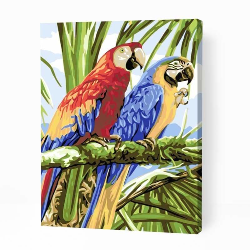 Two Colorful Parrots - Paint By Numbers Cities