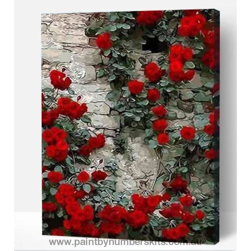 Wall of red roses - Paint By Numbers Cities