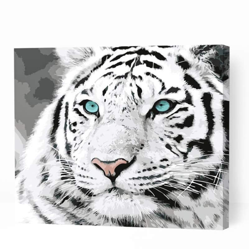 White Tiger with Blue Eyes - Paint By Numbers Cities