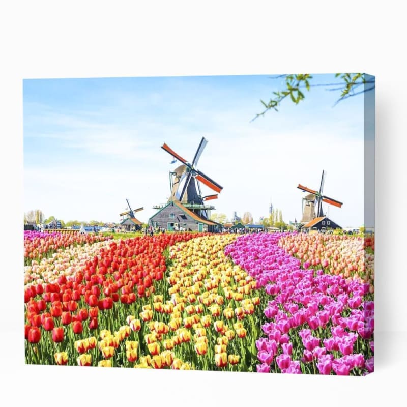 Windmills in Flowery Fields - Paint By Numbers Cities