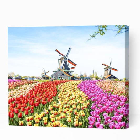 Windmills in Flowery Fields - Paint By Numbers Cities