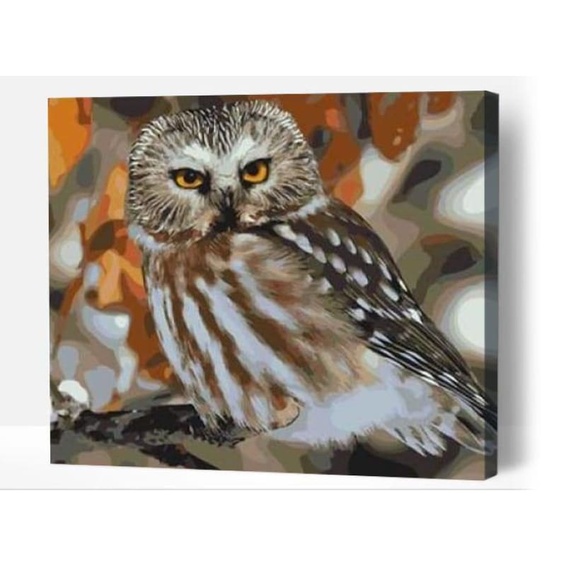 Wondering owl - Paint By Numbers Cities