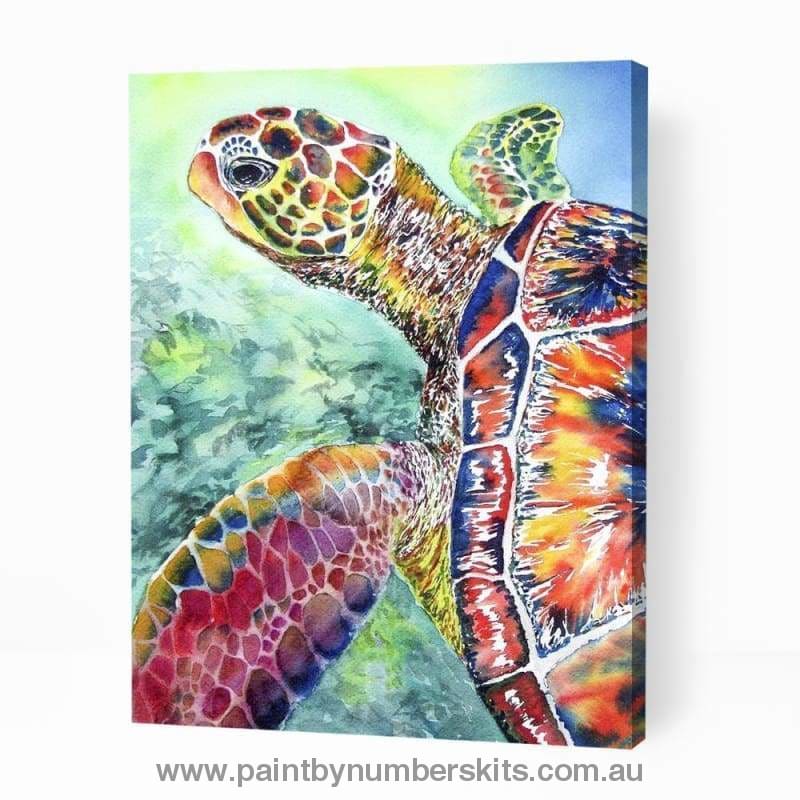 Colorful Turtle Swim - Paint By Numbers Cities