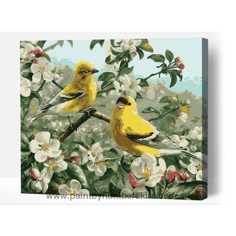 Yellow birds - Paint By Numbers Cities